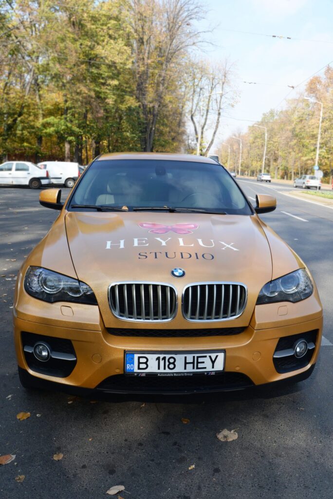 Heylux BMW auriu scaled 1