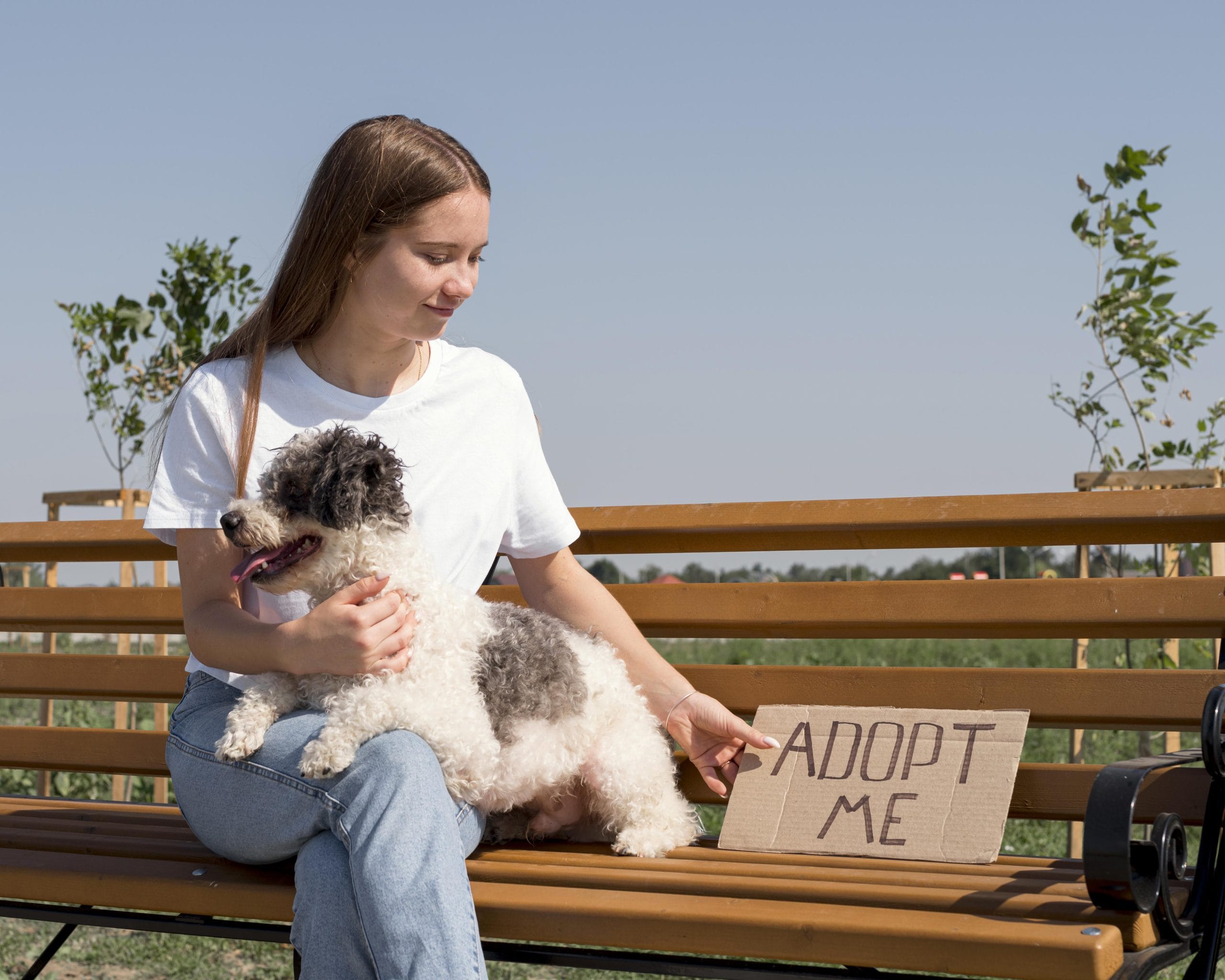 medium shot girl with cute dog bench scaled 1